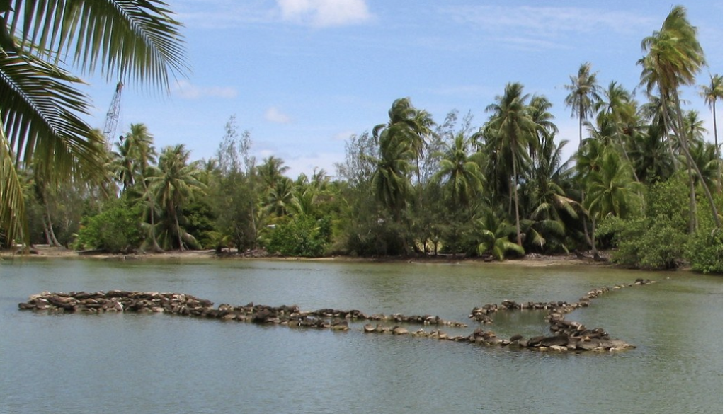 Payaw Design Traditional Fish Aggregation Devices – NUWAO